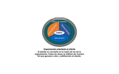 Orientación al cliente, estrategia de competitividad