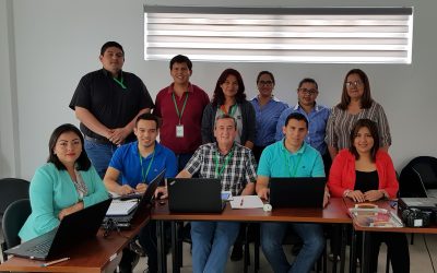 Proyecto Integración Crystal Chemical