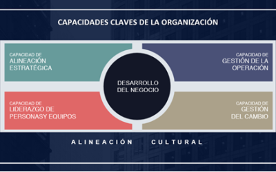 LOS ERPS, ¿GENERAN VALOR A LAS ORGANIZACIONES? (parte 2)